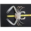 Image 8 : Metal Crab Figure 14" x 13" x 10"H