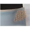 Image 8 : White Tablecloth w/ Embroidered Corners & 8 Matching Placemats 19" x 18"