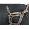 Image 2 : Qty 2 Leather Horse Halters: Take You On & Classic Canyon w/ Lineage