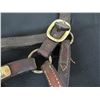 Image 8 : Qty 2 Leather Horse Halters: Take You On & Classic Canyon w/ Lineage