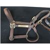 Image 2 : Qty 2 Leather Horse Halters: Delphia & Time for a Goddess w/ Lineage