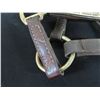 Image 8 : Qty 2 Leather Horse Halters: Delphia & Time for a Goddess w/ Lineage