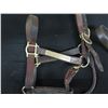 Image 2 : Qty 2 Leather Horse Halters: Florentine & Trippy Dip w/ Lineage