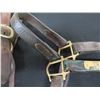 Image 8 : Qty 2 Leather Horse Halters: Florentine & Trippy Dip w/ Lineage
