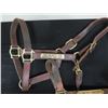 Image 2 : Qty 3 Leather Horse Halters: Time to Take Off, Lady Juno & Time for Royal Cash w/ Lineage