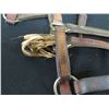 Image 8 : Qty 3 Leather Horse Halters: Time to Take Off, Lady Juno & Time for Royal Cash w/ Lineage