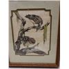 Image 2 : Nene Birds by Desiree Dane w/ Dedication 1987, Signed, Framed 12" x 16"
