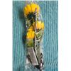 Image 1 : LED Flowers