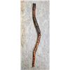 Image 1 : walking stick