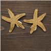 Image 1 : Pair of Gold-Tone Starfish Clip-On Earrings