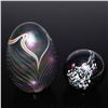 Image 3 : 2pc Art Glass Paperweight Set, Balos and Iridescent Swirl