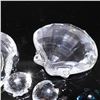 Image 3 : Swarovski Crystal Nautical Collection with Shells and Snail