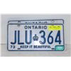 Image 1 : MATCHING ONTARIO PLATES - 1973