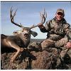 Image 1 : Arizona Archery Deer Hunt with Rocking A Outfitters.