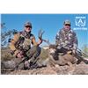 Image 3 : Arizona Archery Deer Hunt with Rocking A Outfitters.