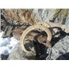 Image 1 : Himalayan Ibex. This is a Premier Adventure for the Trophy Hunter.