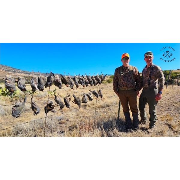 San Carlos Mixed bag Quail Hunt