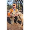 Image 2 : San Carlos Mixed bag Quail Hunt