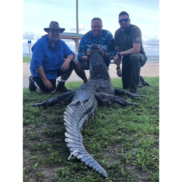 Unique Florida Gator Hunt for 2.