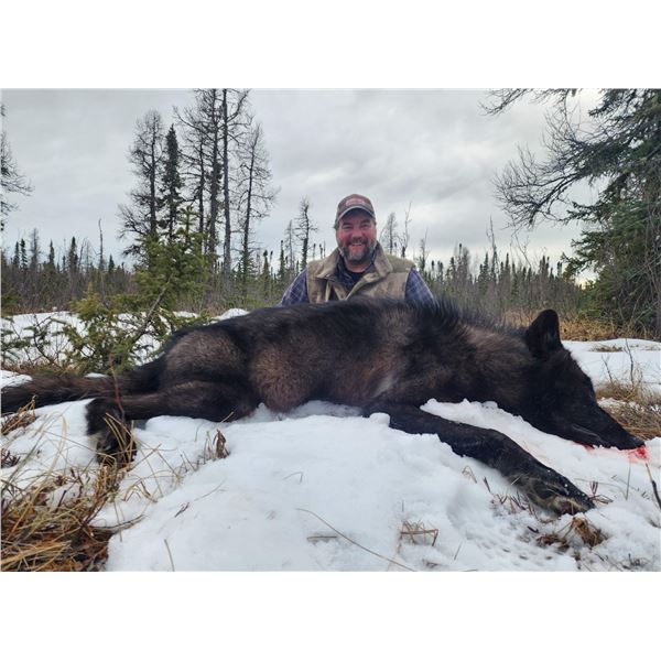 Canada Wolf Hunt