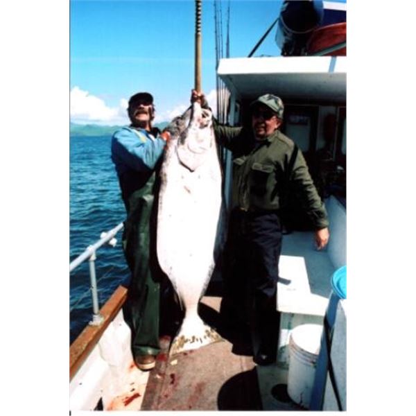 Alaska Fishing on Kodiak Island in Ugak Bay.