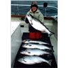 Image 5 : Alaska Fishing on Kodiak Island in Ugak Bay.