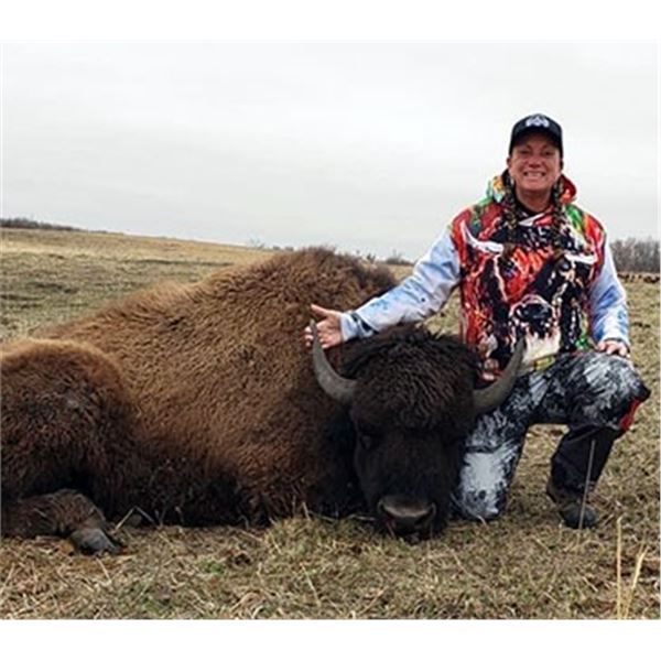 Bison Hunt