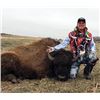 Image 1 : Bison Hunt