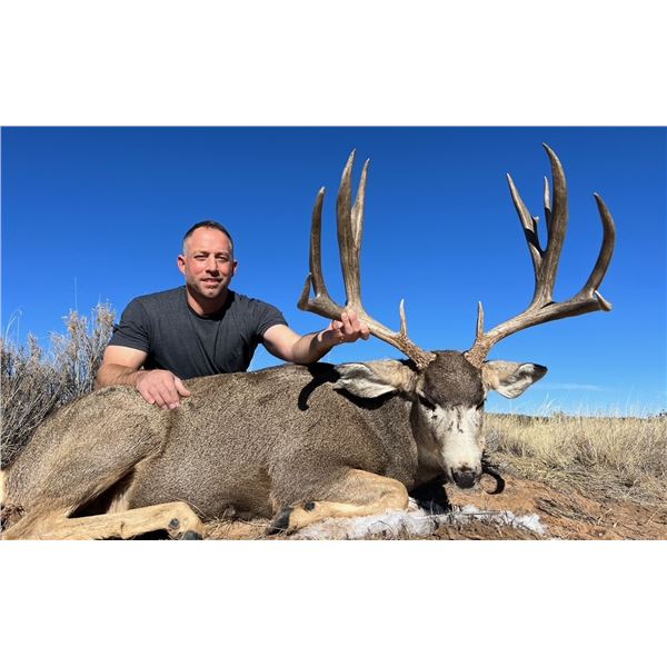 Navajo Mule Deer Tag.