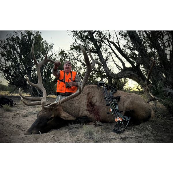 Navajo Elk Tag for 2025.