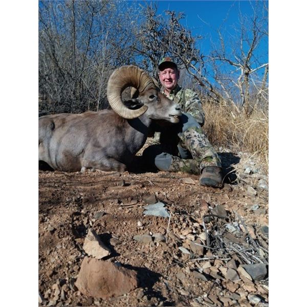 Sonora Desert Sheep Hunt.