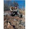 Image 1 : Sonora Desert Sheep Hunt.