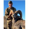 Image 2 : Sonora Desert Sheep Hunt.