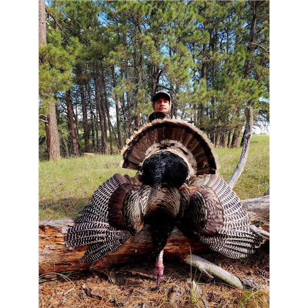 Double D Trophy Outfitters