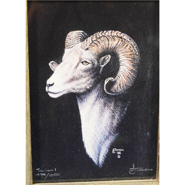 Truax, Jim print, Big Horn Sheep, 17" x 25", framed, signed & numbered lower right, Series 1 #474/10
