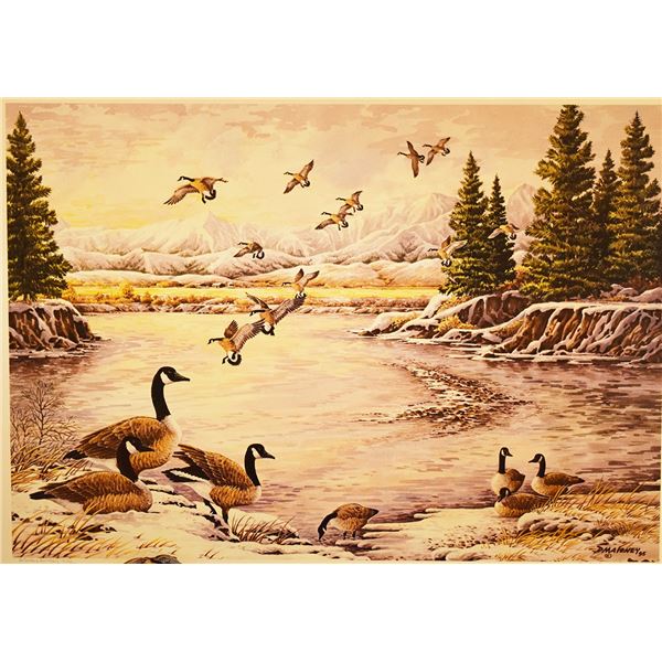Maloney, Dave, Montana Ducks Unlimited Limited Edition Collectors Print, Wings on the Morning Light,