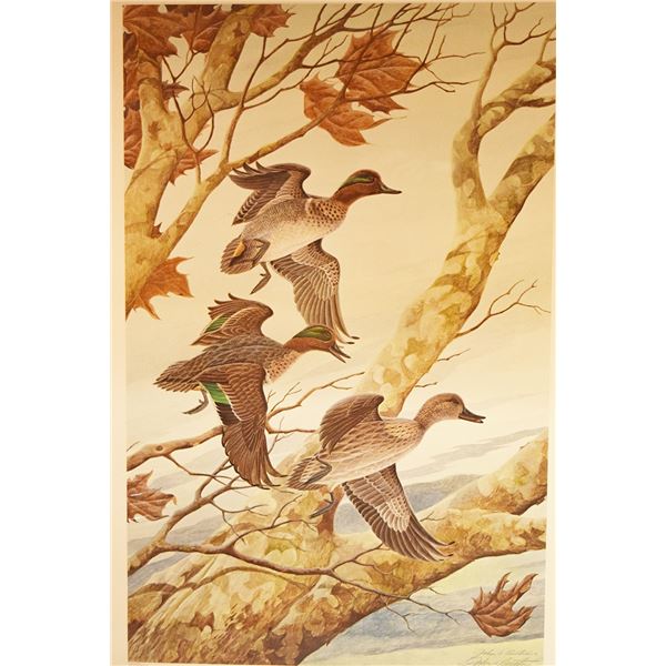 Ruthven, John A., Montana Ducks Unlimited print, Green-Winged Teal, 27" x 16" w, signed & numbered,