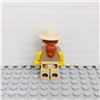 Image 2 : LEGO Paleontologist, Series 13