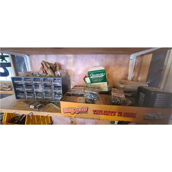 CONTENTS OF LOWER SHELF - SCREW BIN, AND FLAT OF MISC SCREWS