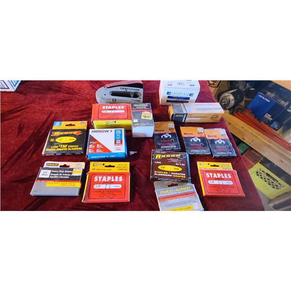 STAPLE GUN AND STAPLES