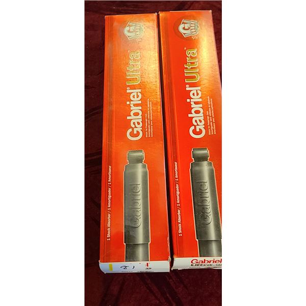 TWO SHOCK ABSORBERS