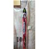Image 2 : ROSSIGNOL DV 7S CARBON 75" SKI'S AND RAMY RACING TEAM POLES