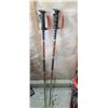 Image 8 : ROSSIGNOL DV 7S CARBON 75" SKI'S AND RAMY RACING TEAM POLES