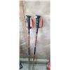 Image 9 : ROSSIGNOL DV 7S CARBON 75" SKI'S AND RAMY RACING TEAM POLES