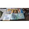 Image 17 : LARGE ASSORTMENT OF RECORDS
