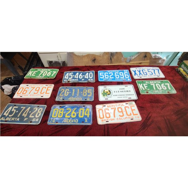 11 COLLECTABLE PROVINCIAL LICENSE PLATES