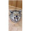 Image 1 : COYOTE HEAD MOUNT