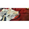 Image 11 : COYOTE HIDE/RUH