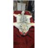 Image 1 : COYOTE HIDE/RUH