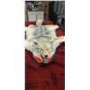 Image 2 : COYOTE HIDE/RUH